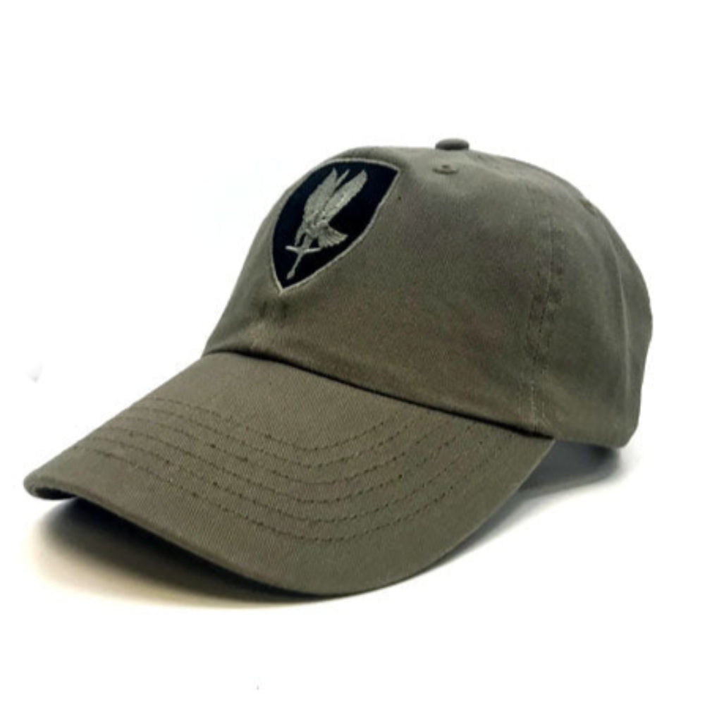 1st Aviation Brigade Hat facing left