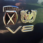 Warrant Officer Eagle Rising Metal Car EmblemWith 10th Mountain Division Decal on a Black Truck Fender