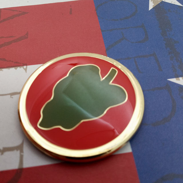 24th Infantry Division