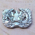 Warrant Officer Eagle Rising Metal Car Emblem