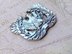 Warrant Officer Eagle Rising Metal Car Emblem on a map background facing left